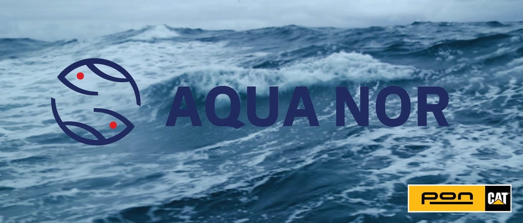 Banner aqua nor1.jpg