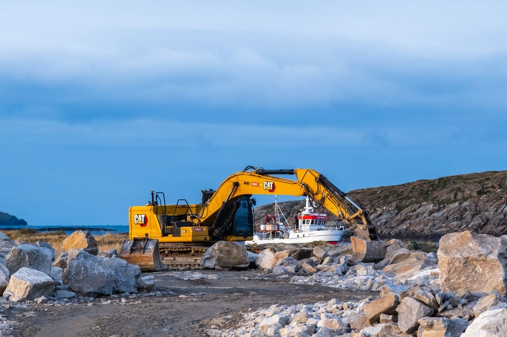 CAT326~2.JPG